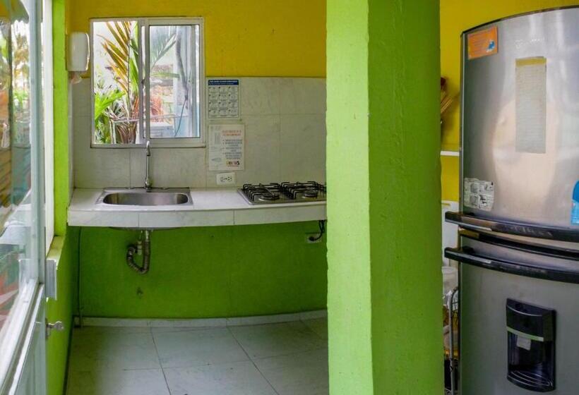 تختخواب در اتاق مشترک, Tayrona Colors Hostel
