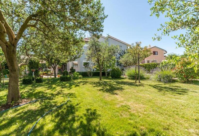 آپارتمان 1 خوابه, Apartments đurđa