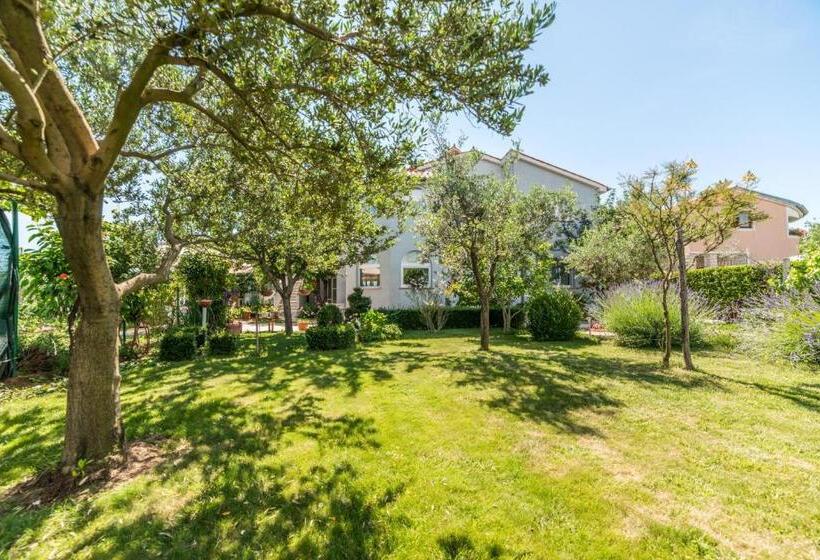 آپارتمان 1 خوابه, Apartments đurđa