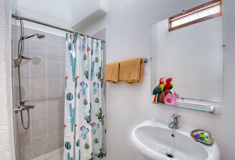 اتاق راحتی با چشم‌انداز دریا, Yucca Beachfront