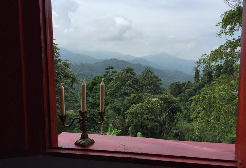 اتاق لوکس, Finca San Rafael   Cafe Y Cacao