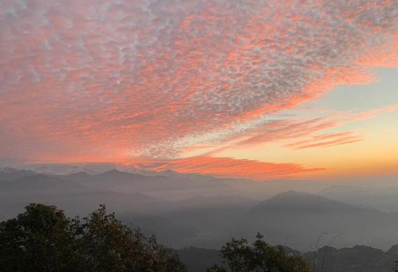 اتاق خانوادگی, Pristine Himalaya