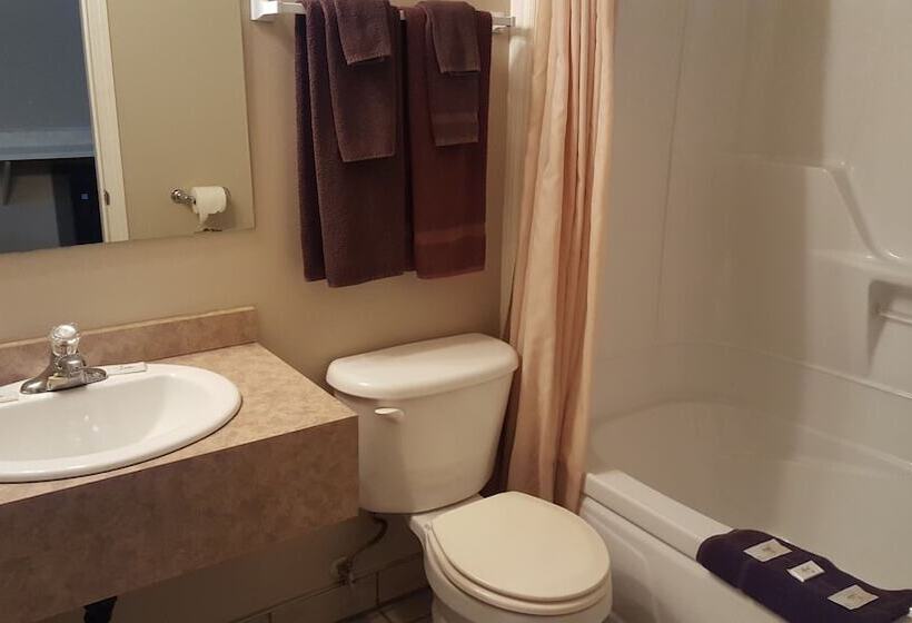 اتاق استاندارد با 2 تخت دوبل, Aspen Motor Inn