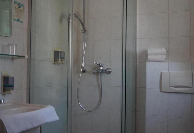 اتاق اکونومی یک تخته, Gasthof Zur Traube