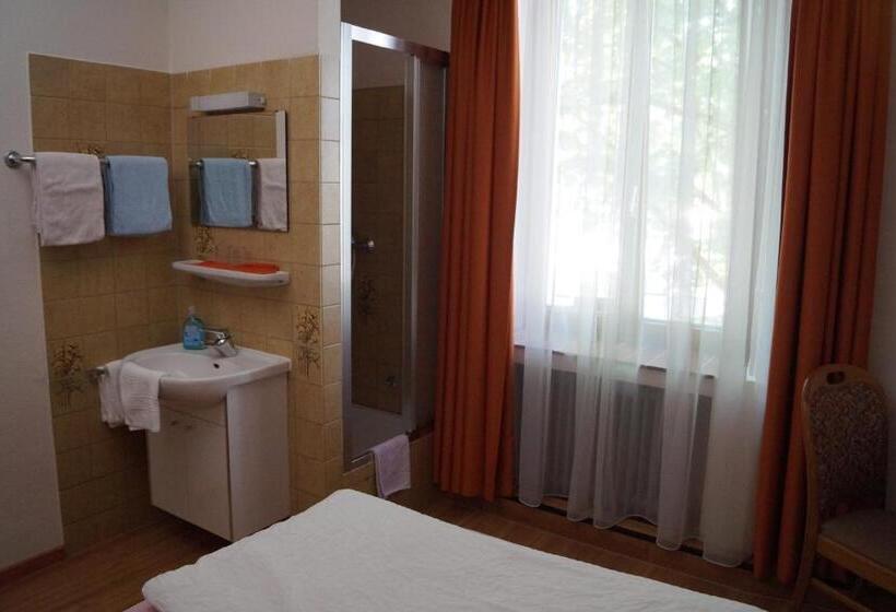 اتاق استاندارد با سرویس بهداشتی مشترک, Gasthof Zur Traube