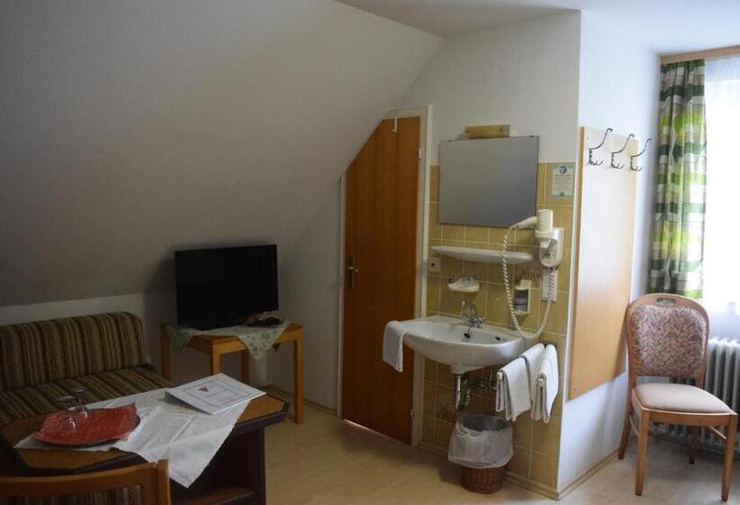 اتاق اکونومی, Gasthof Zur Traube