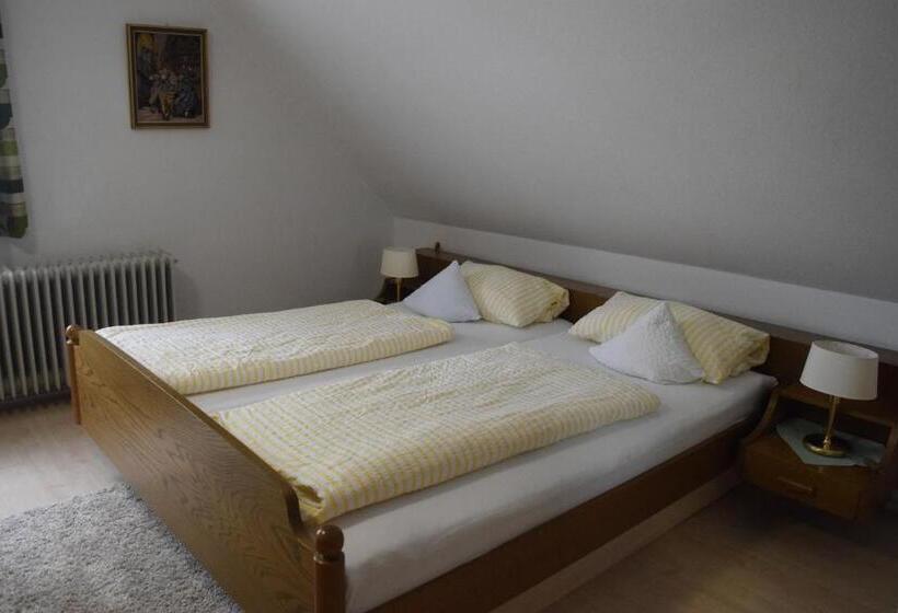 اتاق اکونومی, Gasthof Zur Traube