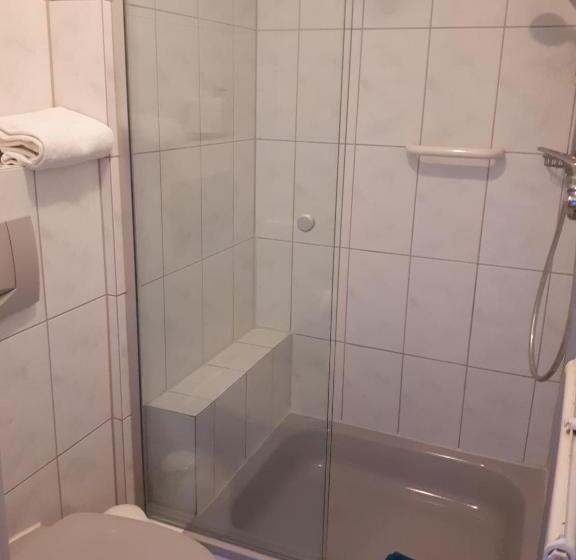 اتاق استاندارد یک نفره, Gasthof Zur Traube