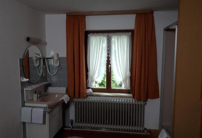 اتاق استاندارد با سرویس بهداشتی مشترک, Gasthof Zur Traube