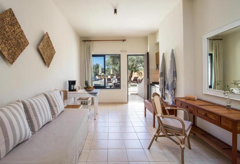 استودیو استاندارد با چشم‌انداز باغ, Kanso Rooms