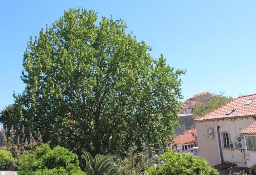 اتاق استاندارد با سرویس بهداشتی مشترک, Guest House Gugily