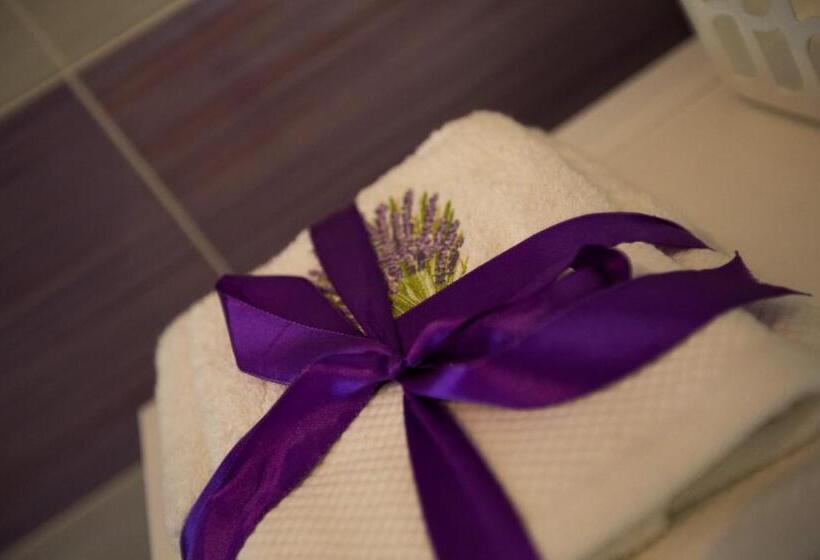 اتاق استاندارد یک تخته با سرویس بهداشتی مشترک, Guest House Gugily