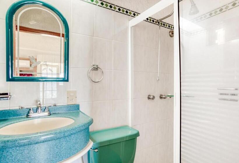 اتاق سوپریور, Y Spa Posada Mirador