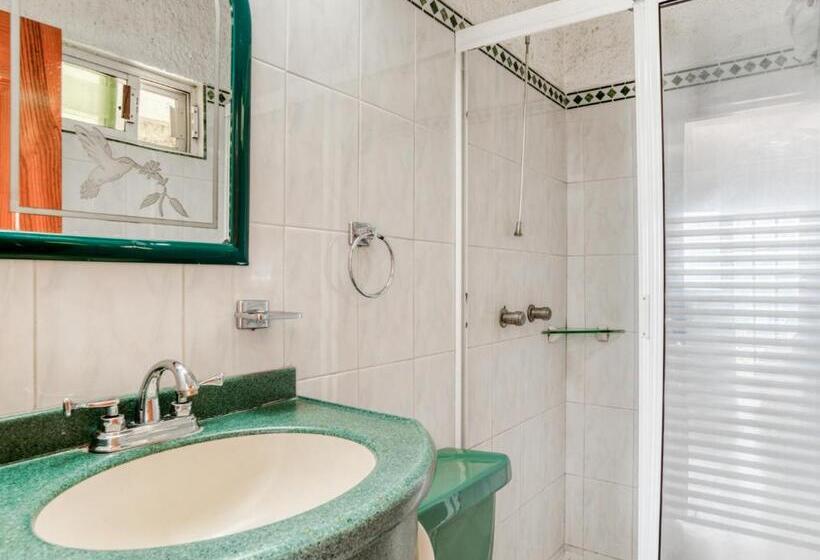 اتاق استاندارد, Y Spa Posada Mirador