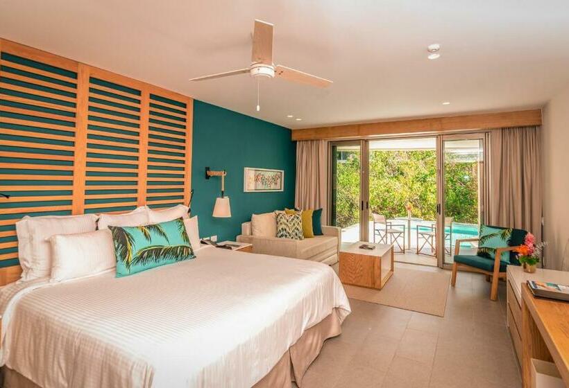 سوییت جونیور, Dreams Natura Resort & Spa  All Inclusive