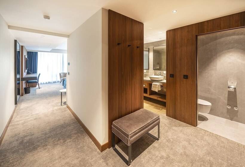 اتاق لوکس با چشم‌انداز دریا, Luxury Hotel Riva