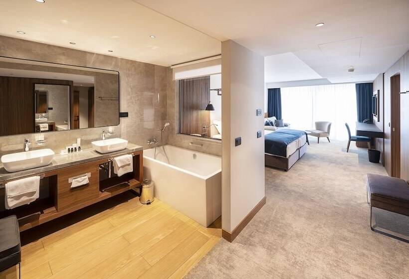 سوییت جونیور با چشم‌انداز دریا, Luxury Hotel Riva