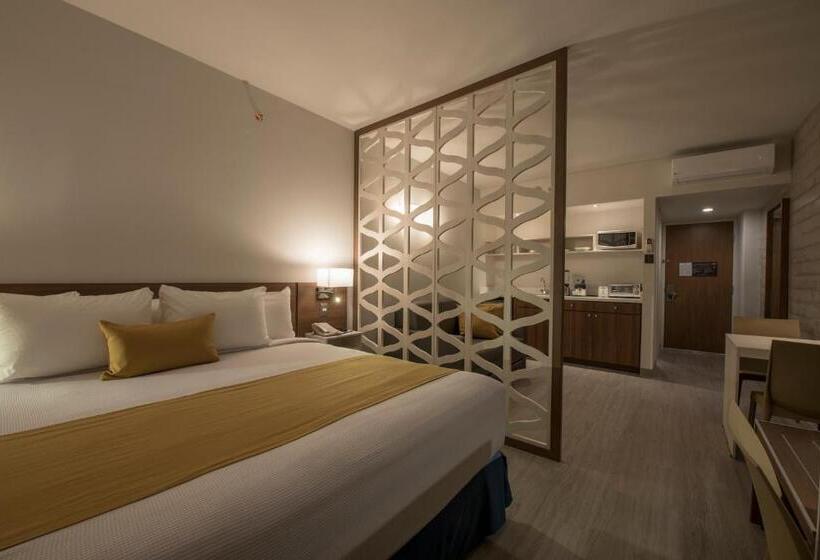 سوئیت با تخت بزرگ, Microtel Inn & Suites By Wyndham Irapuato