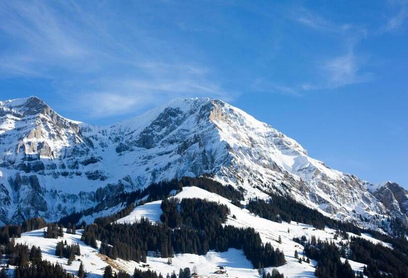 Camera Standard con Vista, Chalet Hotel Beau Site