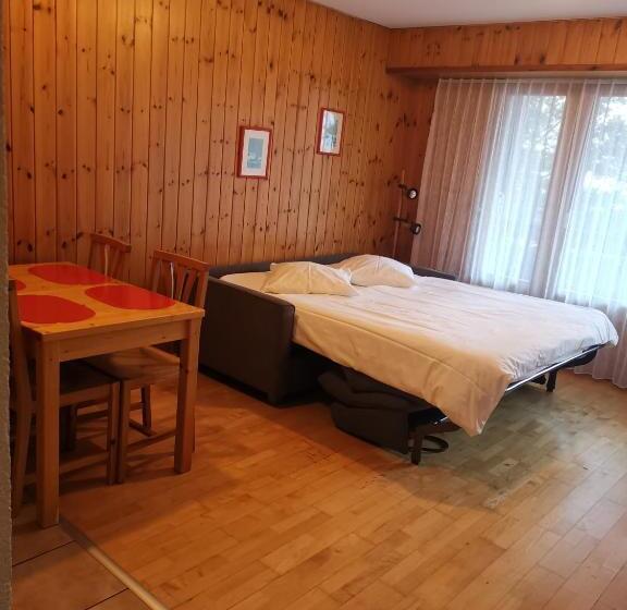 استودیوی استاندارد, Des Bains D Ovronnaz