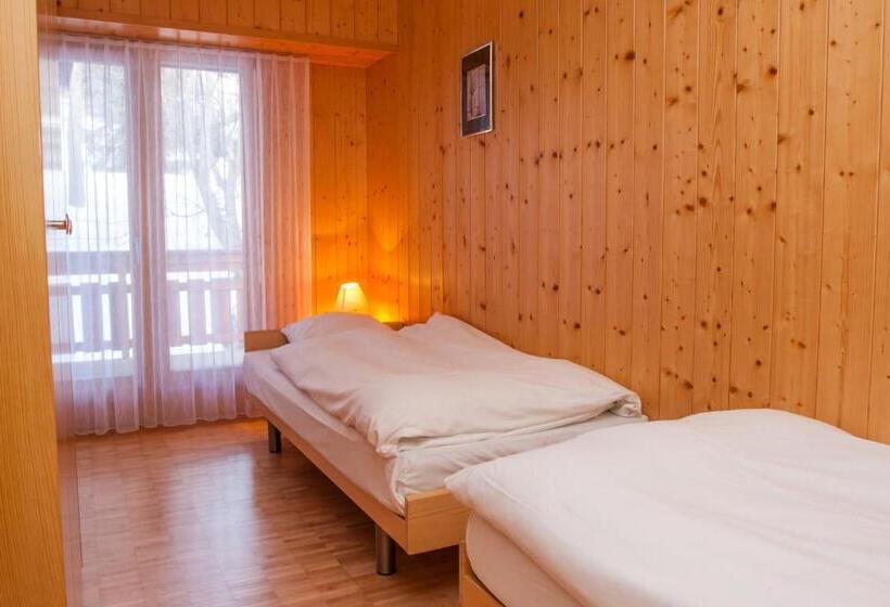 آپارتمان سوپریور 1 خوابه, Des Bains D Ovronnaz