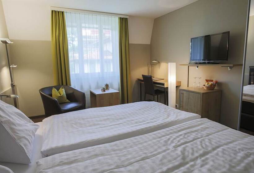 Standard Room, Herisau Swiss Quality