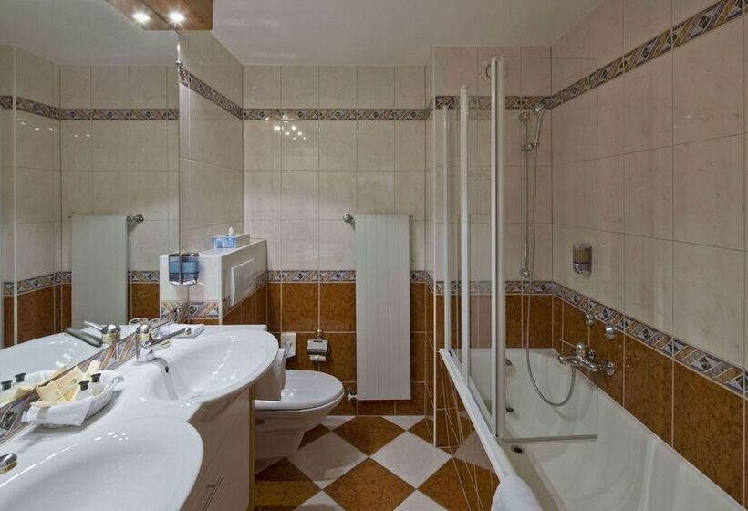 ベーシックルーム, Swiss Alpine Hotel Allalin