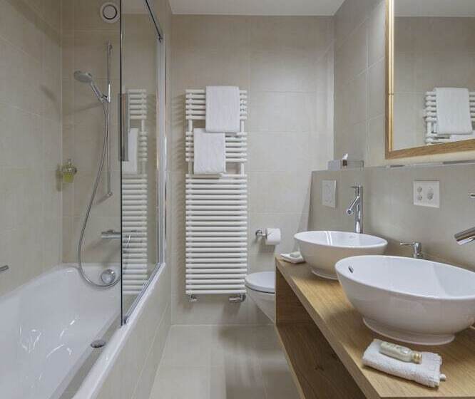 ベーシックルーム, Swiss Alpine Hotel Allalin