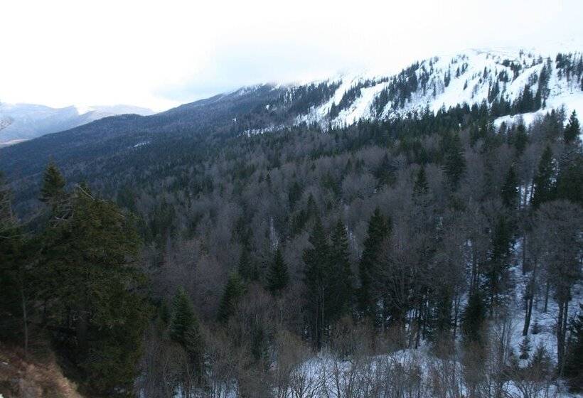 اتاق عادی, Bat Hotel Bistrica