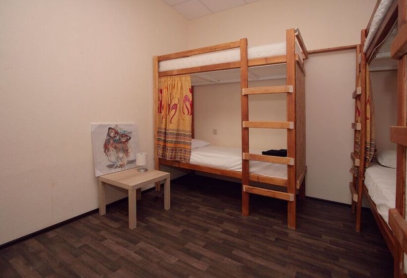 تختخواب در اتاق مشترک, Hostel Business Blizzzko