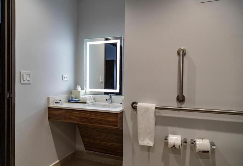 اتاق استاندارد با تخت بزرگ برای معلولان, Holiday Inn Express & Suites   Ensenada Centro, An Ihg
