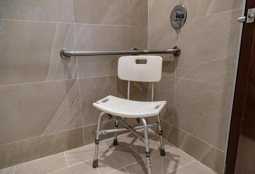 اتاق استاندارد با تخت بزرگ برای معلولان, Holiday Inn Express & Suites   Ensenada Centro, An Ihg