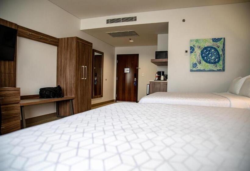 سوئیت با تخت بزرگ, Holiday Inn Express & Suites   Ensenada Centro, An Ihg