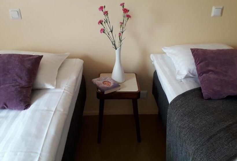 اتاق استاندارد با سرویس بهداشتی مشترک, Kartanohostel Annacatharina