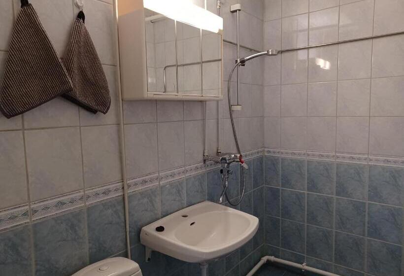 آپارتمان 1 خوابه, Kartanohostel Annacatharina