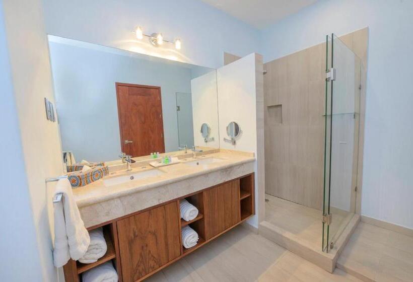 سوییت لوکس, Suites De La Parra