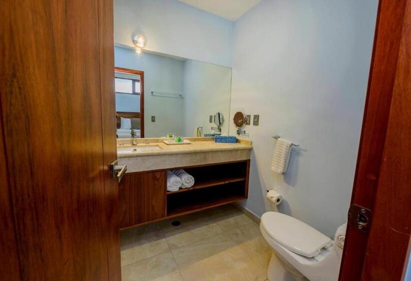 اتاق استاندارد, Suites De La Parra