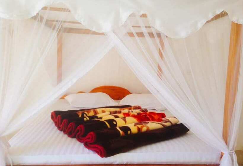اتاق لوکس, Lilly Guest Inn