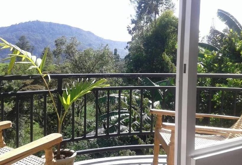 اتاق لوکس با بالکن, Lilly Guest Inn
