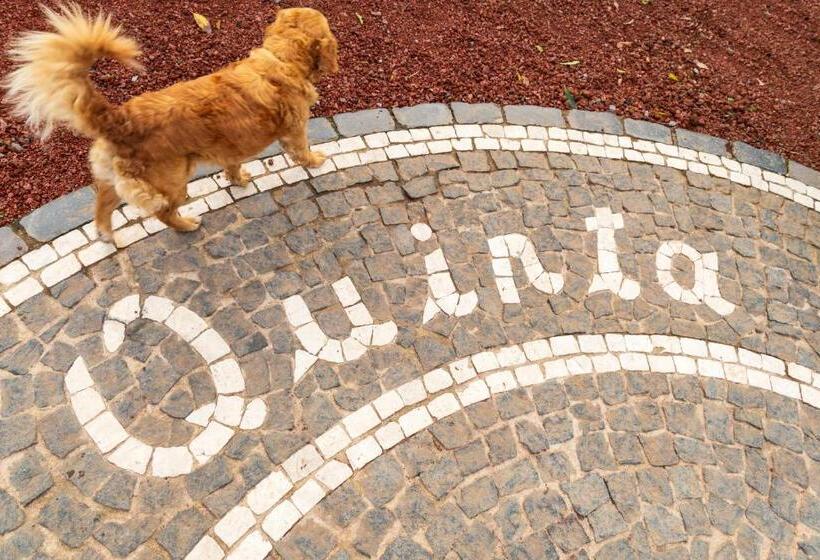استودیو استاندارد با چشم‌انداز باغ, Quinta Do Paraizo