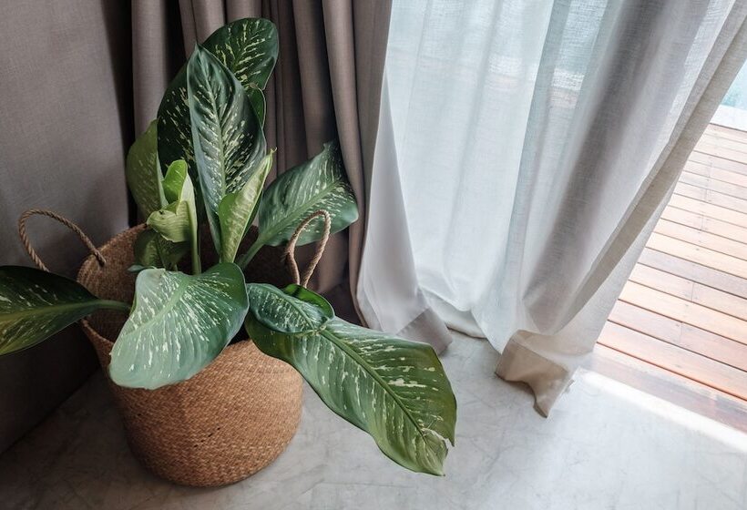 ویلای 2 خوابه با چشم‌انداز دریا, Banana Fan Sea Resort