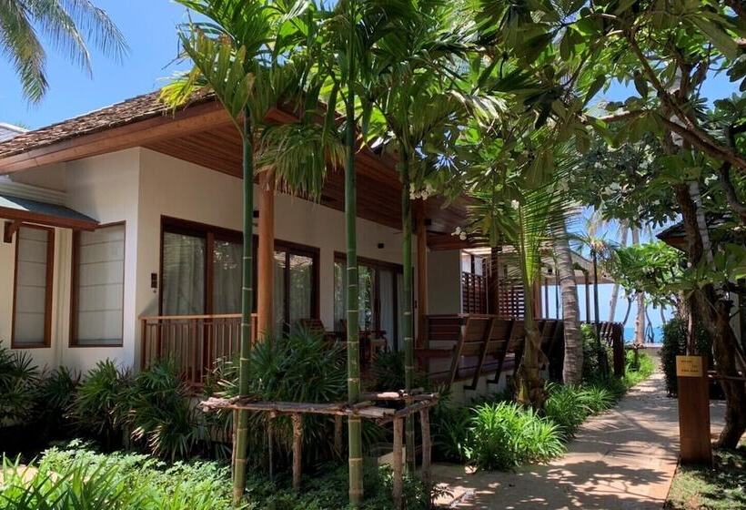 سوییت اجرایی, Banana Fan Sea Resort