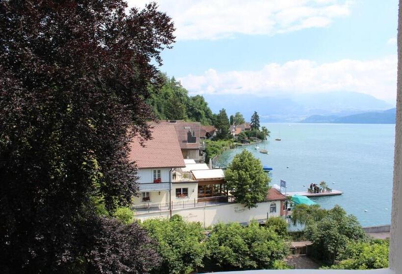 اتاق استاندارد با چشم‌انداز, Restaurant Bellevue Au Lac