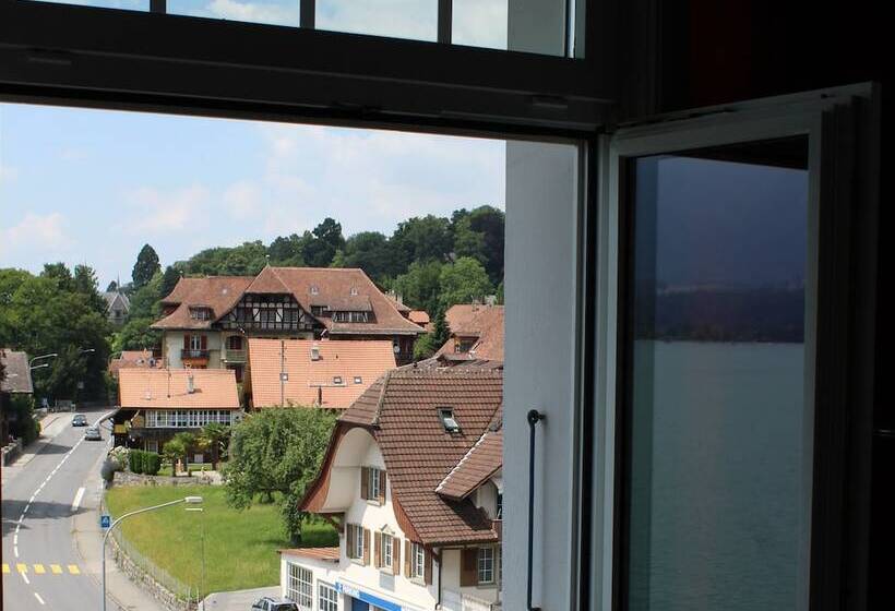 اتاق استاندارد چهار تخته, Restaurant Bellevue Au Lac