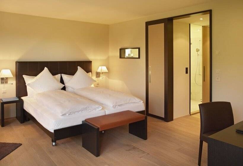 Superior Room, Seepark Thun