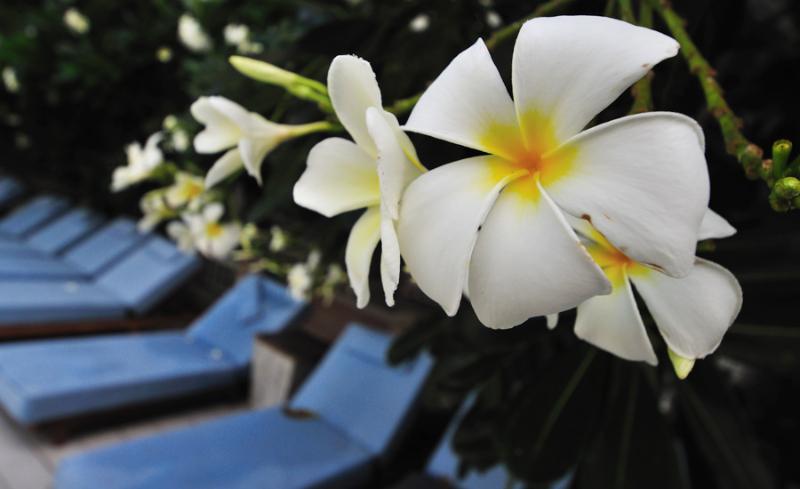 اتاق سوپریور, Ramada By Wyndham Phuket Southsea