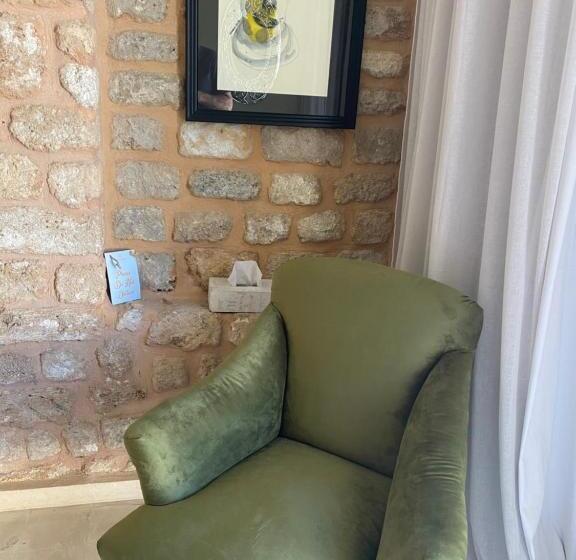 سوئیت جونیور با تراس, Dar Camelia