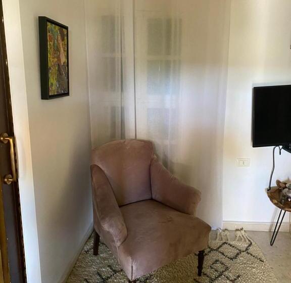 اتاق استاندارد, Dar Camelia