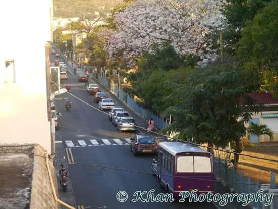 اتاق خانوادگی, La Plaine Verte Guesthouse