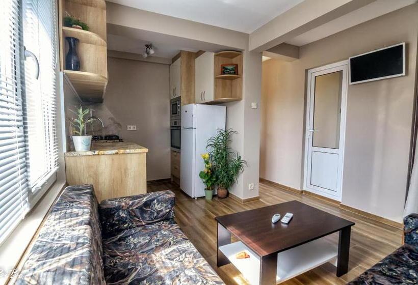 آپارتمان 1 خوابه با بالکن, Dom Mladenovi B&b